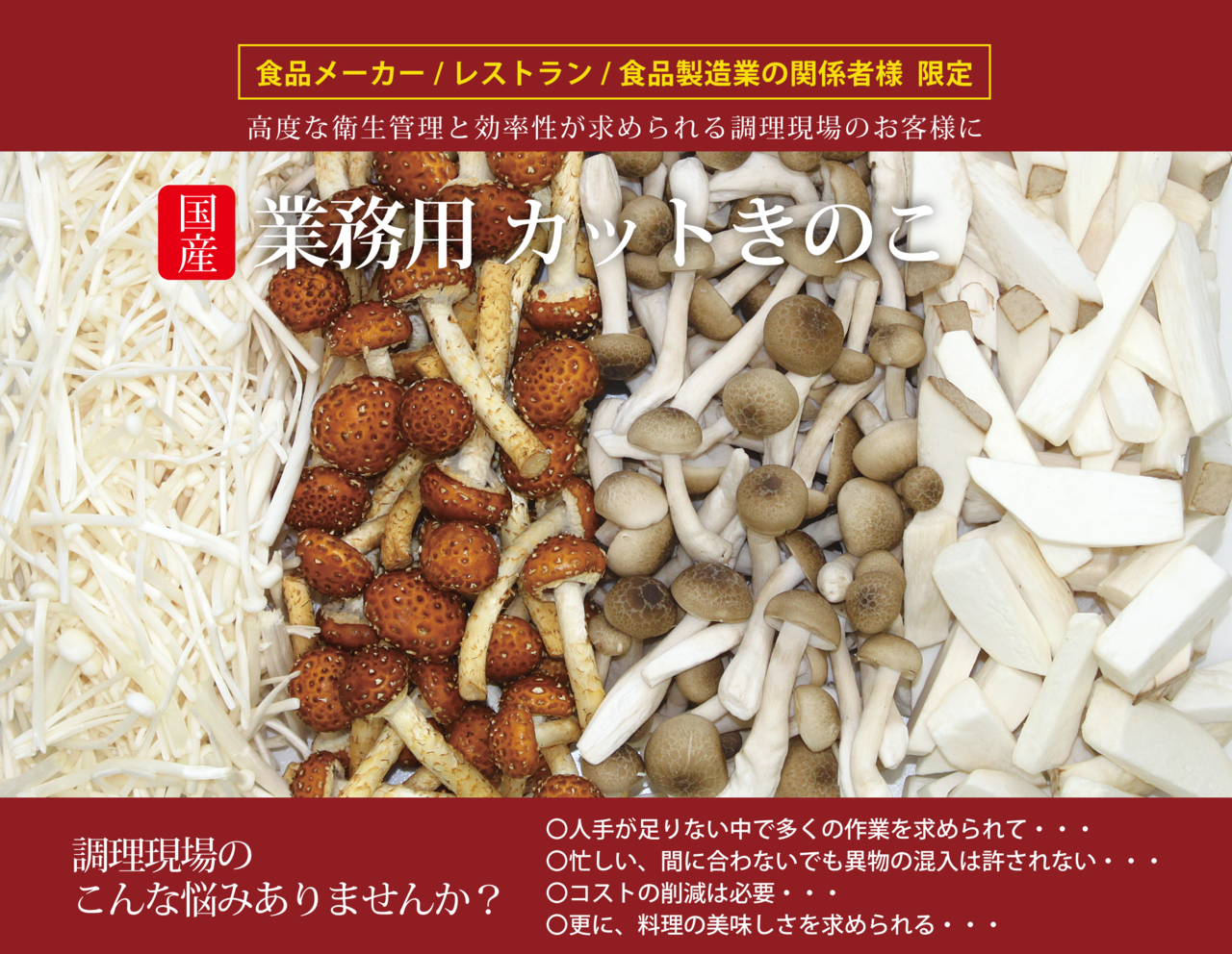 サンプル相談で案内する業務用きのこ商品
